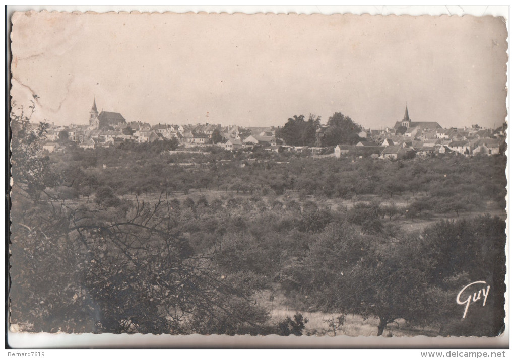 77   Dammartin En Goele Vue Panoramique - Autres & Non Classés