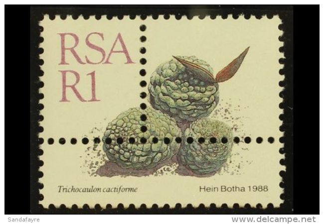 RSA VARIETY 1988-93 R1 Succulent Definitive, Single Stamp With EXTRA PERFORATIONS, SG 667, Never Hinged Mint. For... - Non Classés