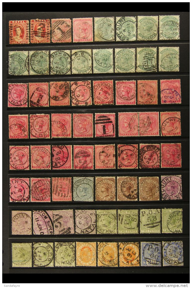 NATAL Postmarks Collection, With Clear To Superb Strikes On QV And KE7 Stamps With Values To 5s, With Numerals,... - Unclassified