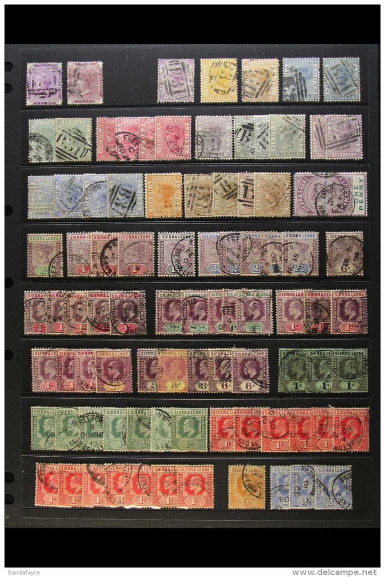 1859-1969 INTERESTING USED ACCUMULATION Presented Chronologically On A Set Of Stock Pages With Many Shades &amp;... - Sierra Leone (...-1960)