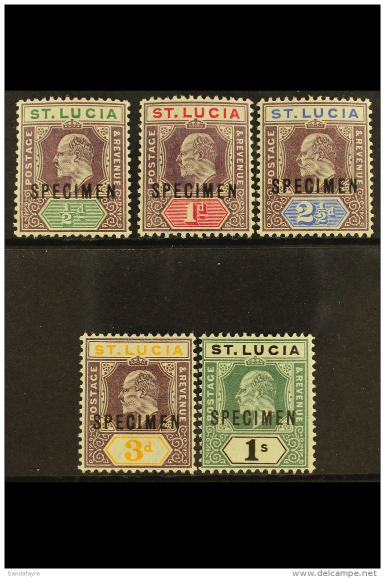 1902 Ed VII Set, Wmk CA, Overprinted "Specimen", SG 58s/62s, Very Fine Mint. (5 Stamps) For More Images, Please... - Ste Lucie (...-1978)
