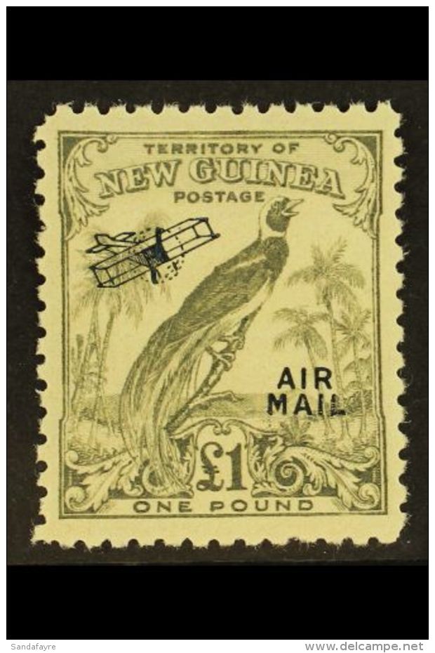 1932 &pound;1 Bird Of Paradise, Airmail (without Dates),  SG 203, Very Fine And Fresh Mint. For More Images,... - Papua New Guinea