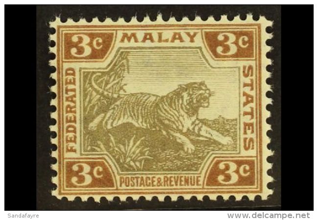 FEDERATED MALAY STATES 1904-22 3c Grey-brown &amp; Brown Ordinary Paper, SG 32a, Never Hinged Mint, Fresh. For... - Other & Unclassified