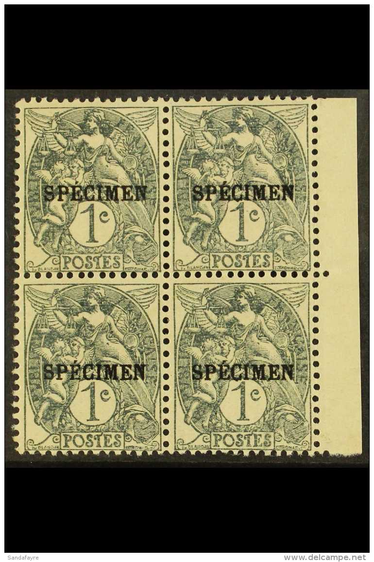 COURS D'INSTRUCTION 1925 1c Grey-black Blanc With "SPECIMEN" Overprint, Yvert 107a-CI 3, Never Hinged Mint... - Sonstige & Ohne Zuordnung