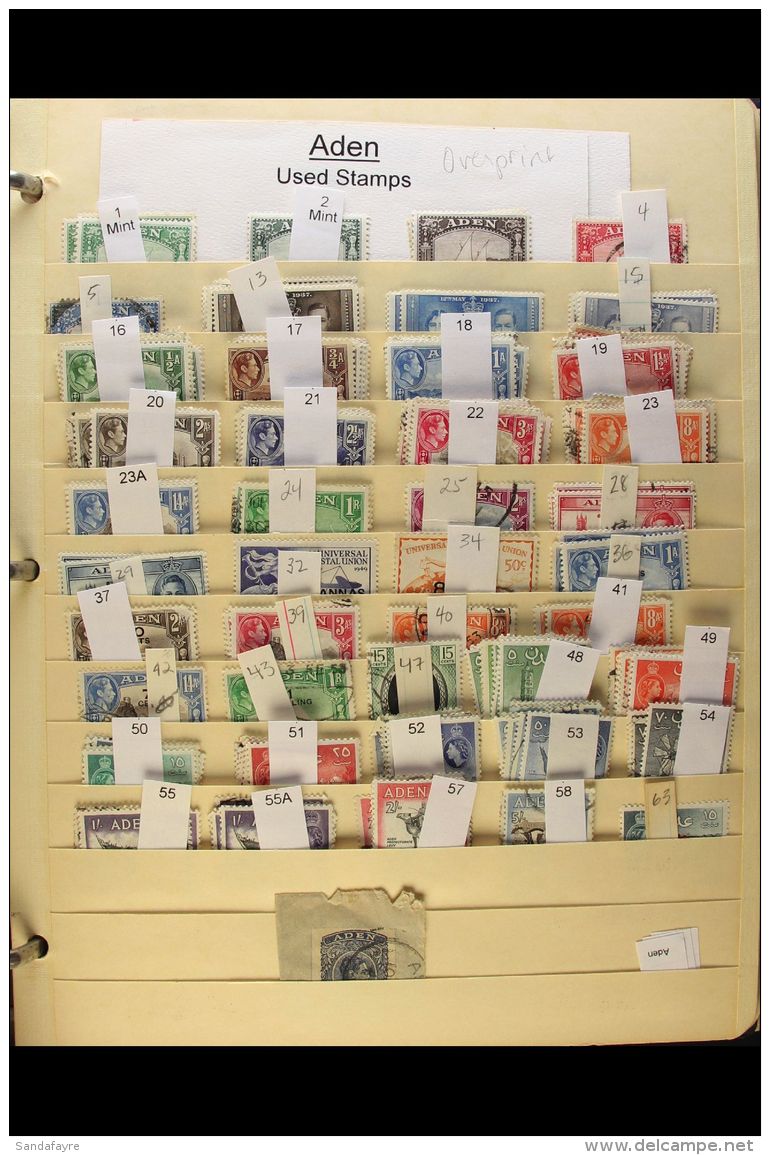 ARABIA EX-DEALER'S STOCK, Large Mint &amp; Used Accumulation In Two Folders With Issues From Abu Dhabi, Aden Incl.... - Other & Unclassified