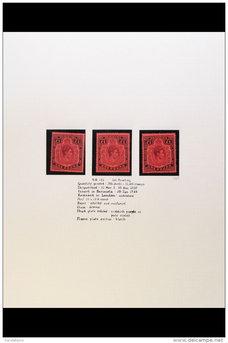1938-53 &pound;1 KGVI KEY PLATES. VERY FINE MINT SPECIALIZED COLLECTION In Hingeless Mounts Written Up On Leaves... - Bermuda