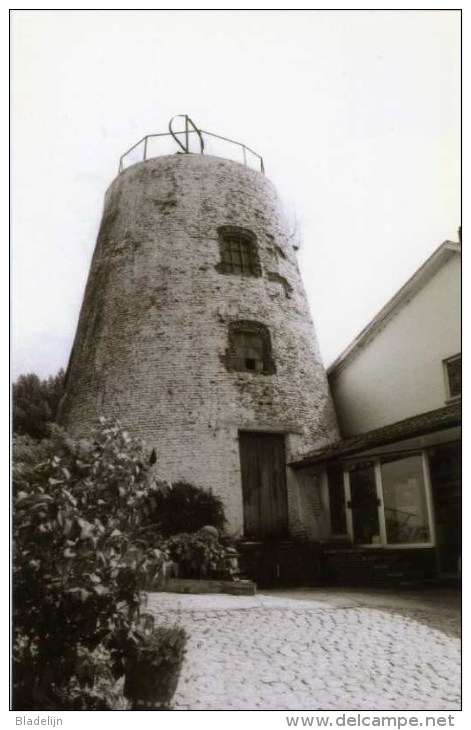 HUNDELGEM Bij Zwalm (O.Vl.) - Molen/moulin - Romp Van D´Oude Madrienne. MAXIKAART - Zwalm