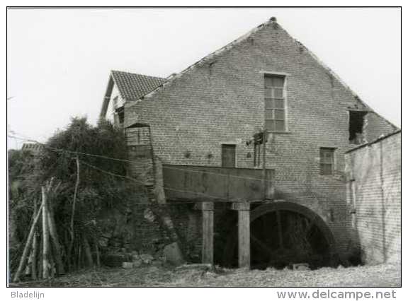 WAMBEEK - Ternat (Brab.) - Molen/moulin - Prachtige Reeks Van TIEN Postkaarten Van De Klapscheutmolen In Bedrijf (1982) - Ternat