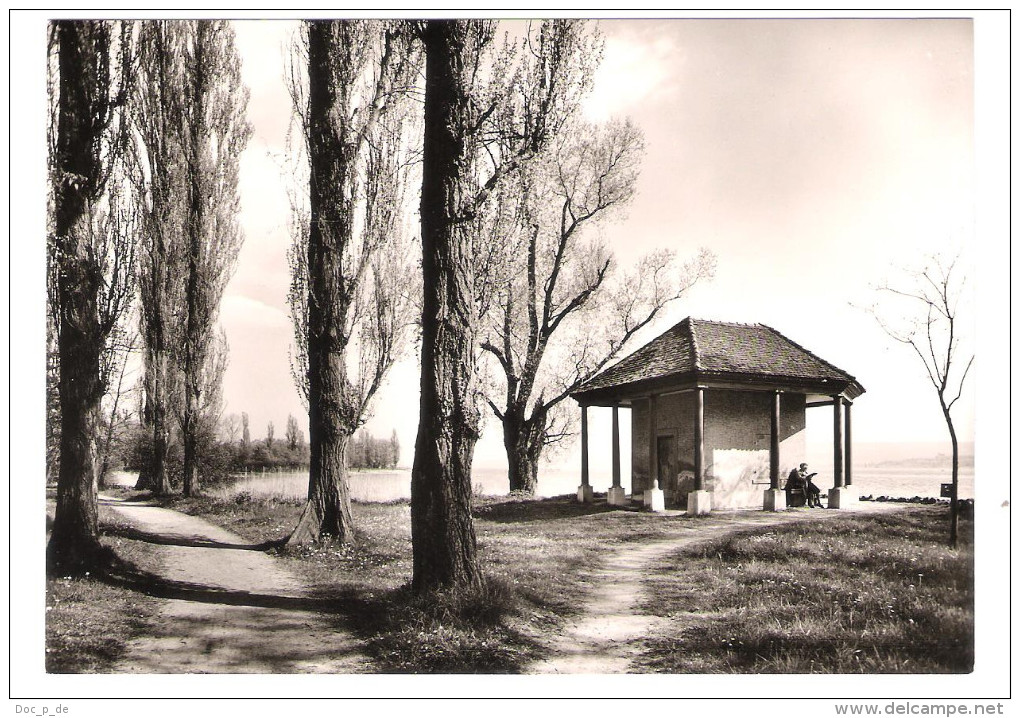 Deutschland - Radolfzell A. Bodensee - Mettnau - Urkundenhäuschen Mit Strandweg - Radolfzell