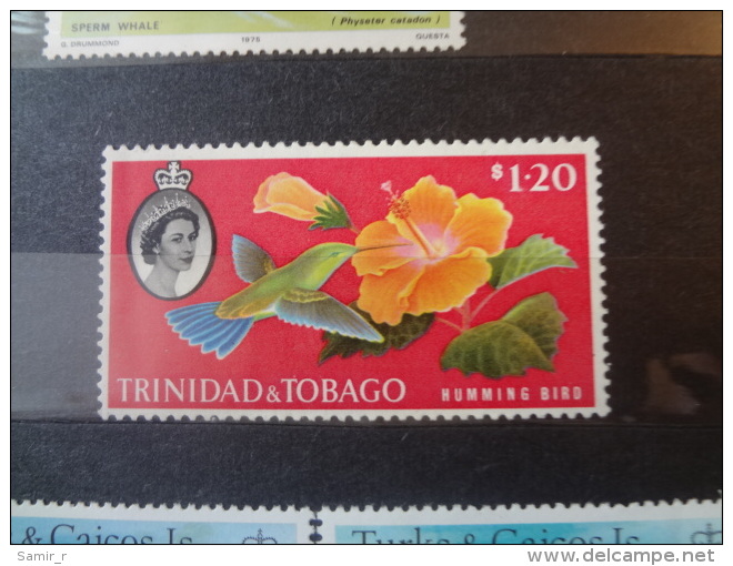 Trinidad And Tobago Humming Bird (70) - Trinité & Tobago (1962-...)