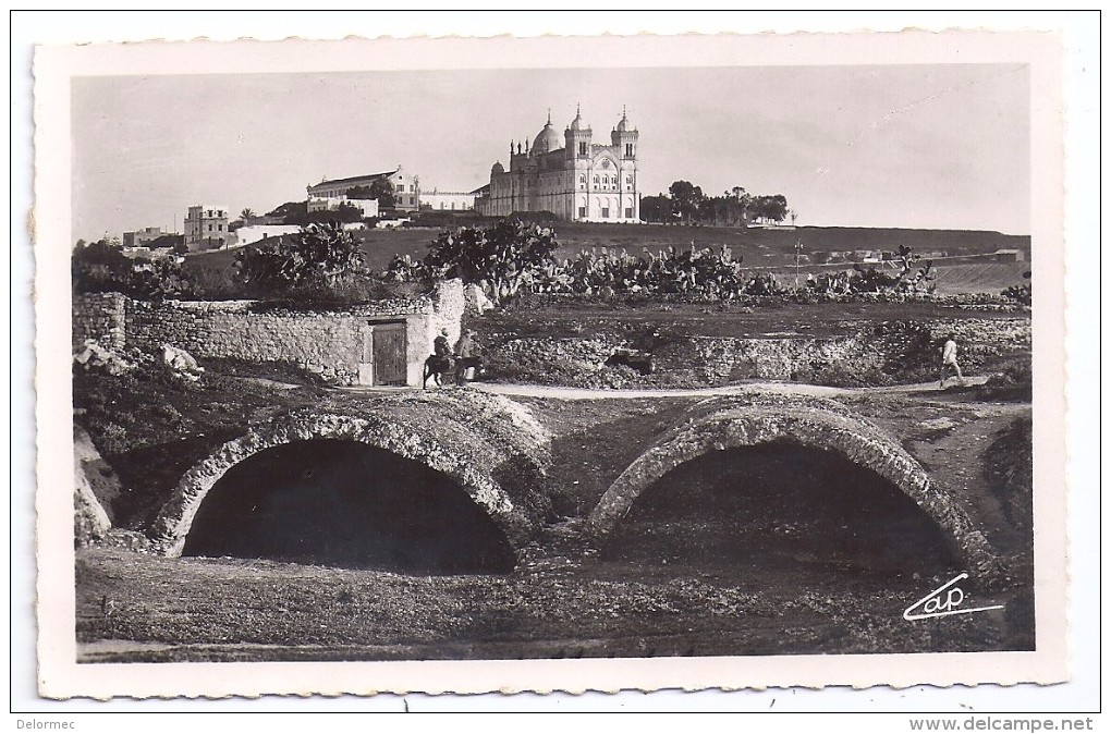 CPSM Photo Carthage Tunisie Citernes Romaines De La Malga éditeur Real Photo N°19 Non écrite - Tunisie