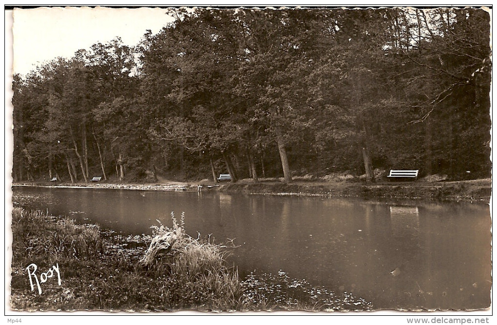 -2E8 --- 44    GUEMENE-PENFAO     Le Don  Et Le Jardin Municipal Du Paradis - Guémené-Penfao