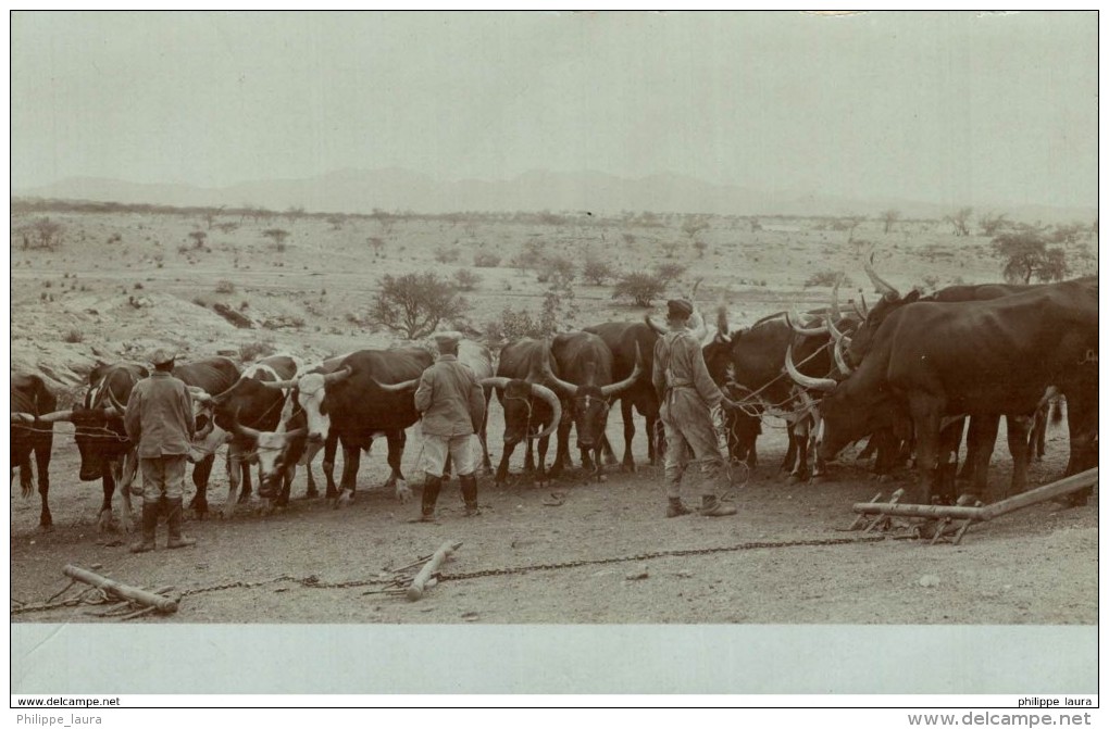 1912    Deutsch-Südwestafrika, DSWA Original Foto A K Namibia - Namibia