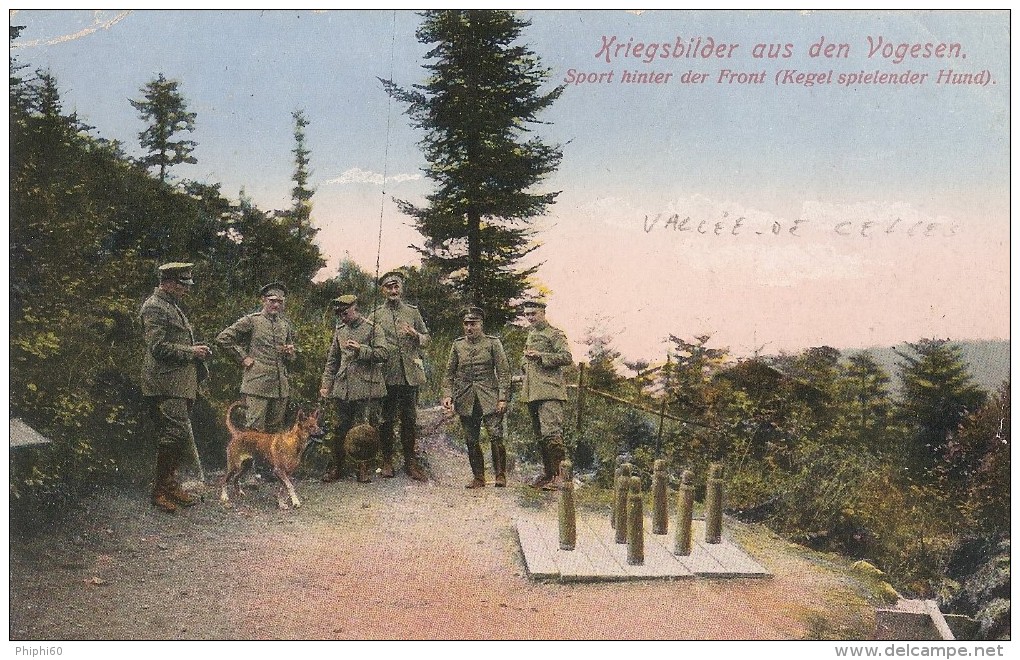 MILITARIA  -  VALLEE DE LA CELLES  -  88  -  Soldats Allemands Jouant Au Jeu De Quilles - Weltkrieg 1914-18