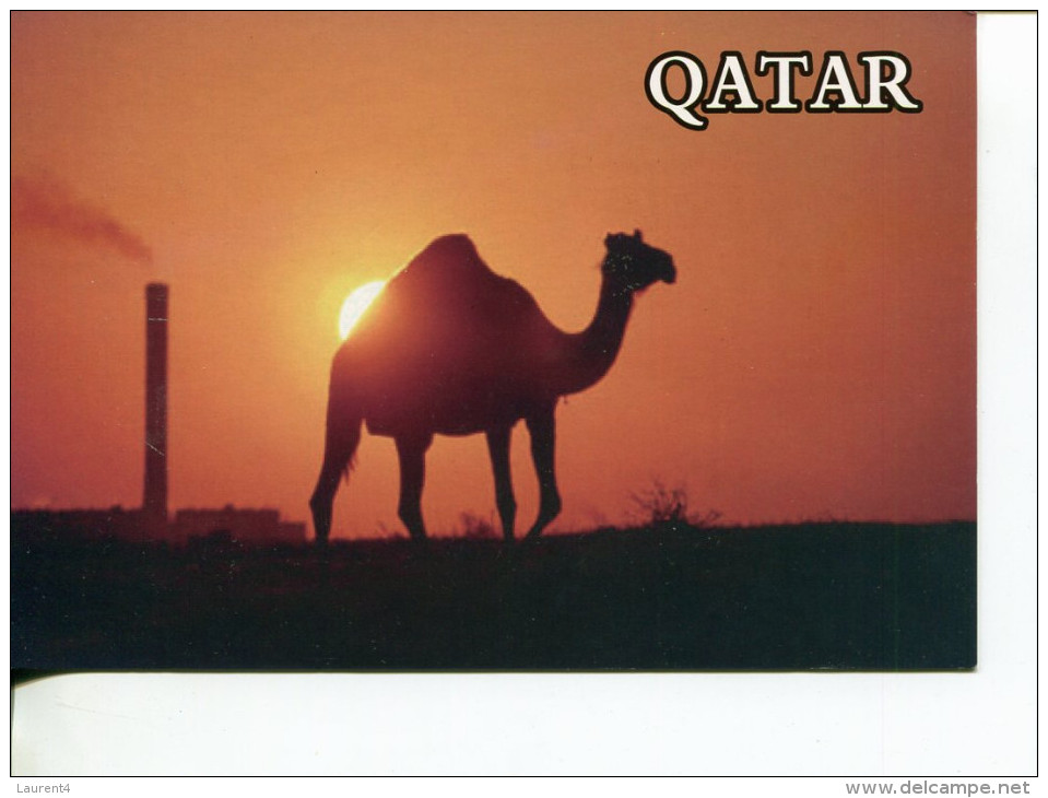 (988) Qatar Camel And Industry - Qatar