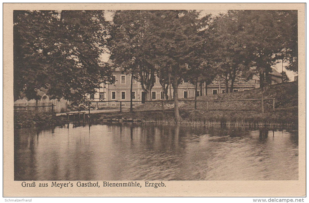 AK Gruss Rechenberg Bienenmühle Rechenberg Meyer 's Gasthof A Clausnitz Friedebach Nassau Sayda Holzhau Mulda Olbernhau - Rechenberg-Bienenmühle