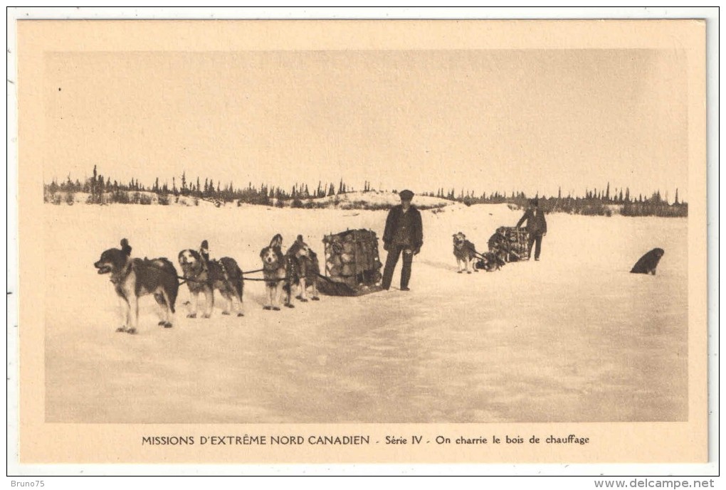 MISSIONS D'EXTREME NORD CANADIEN - Série IV - On Charrie Le Bois De Chauffage - Chiens De Traîneau - Autres & Non Classés