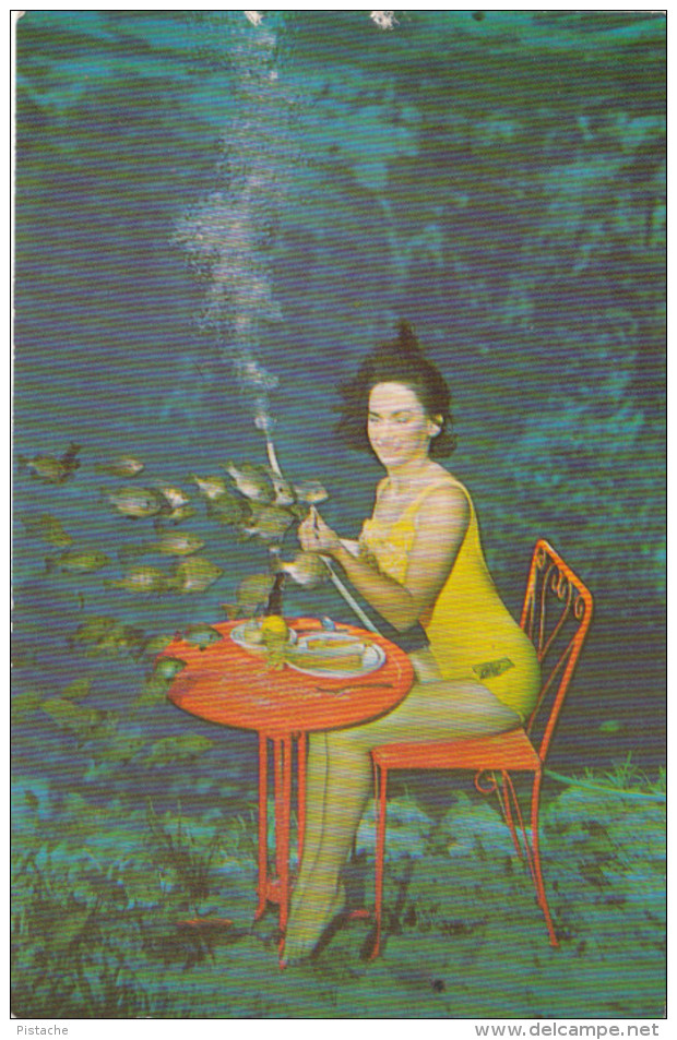 Weeki Wachee Spring Florida - Sexy Girl - 2 Scans - Other & Unclassified