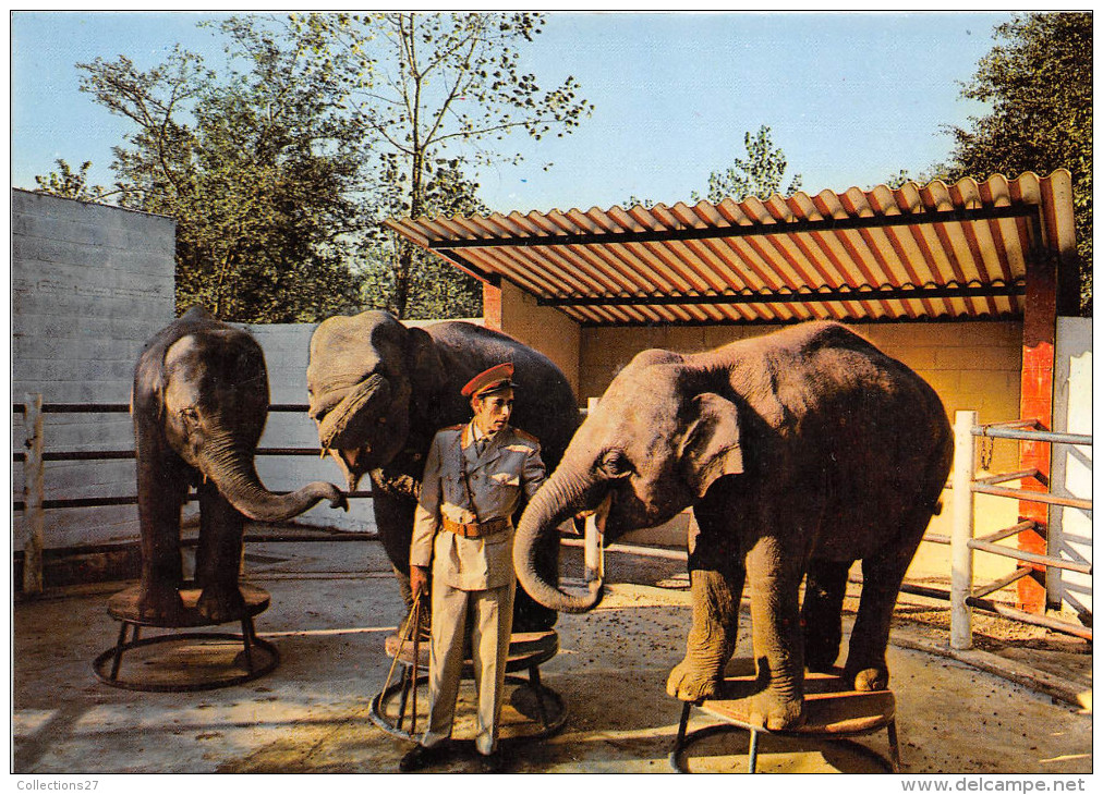 60- ERMENONVILLE - ZOO JEAN RICHARD , LA REPETITION DES ELEPHANTS - Ermenonville