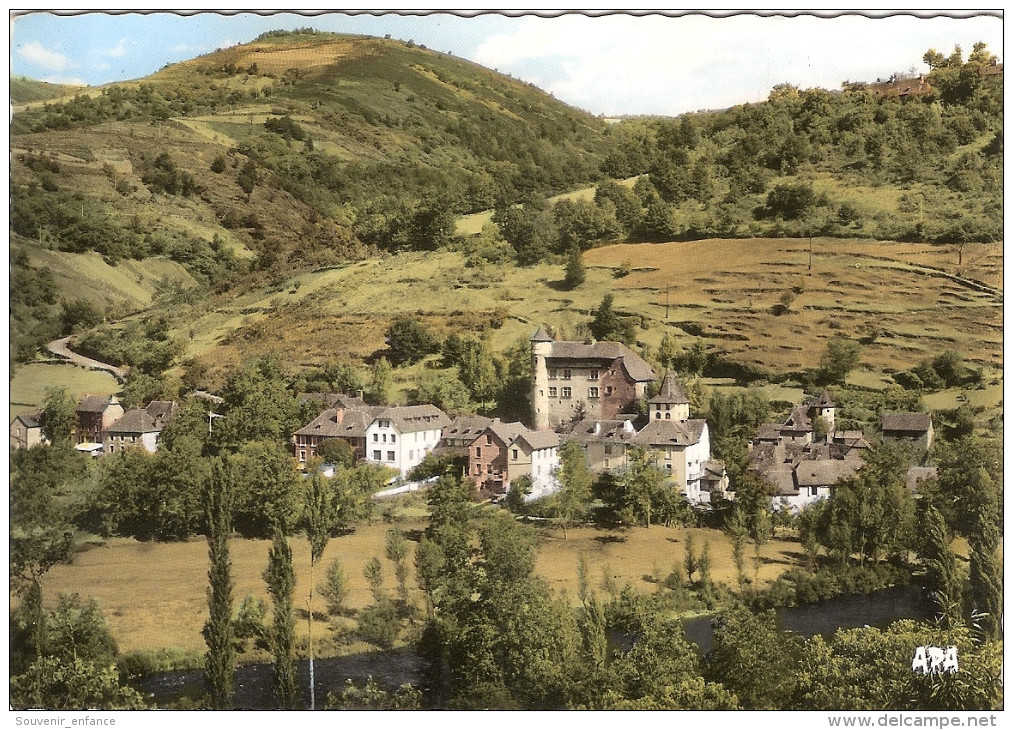 CP Vieillevie Vue Générale 15 Cantal - Autres & Non Classés