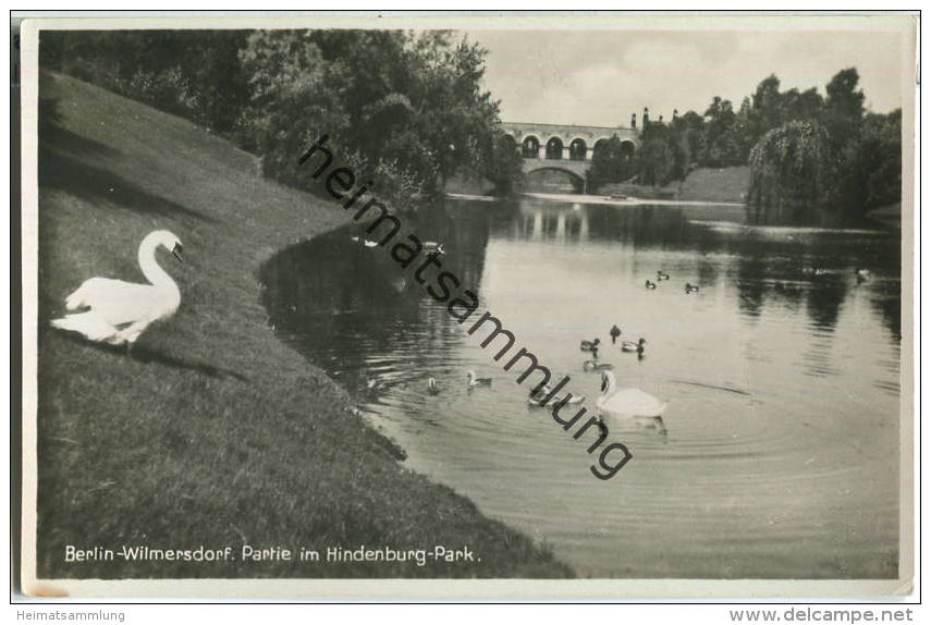 Berlin-Wilmersdorf - Hindenburg-Park - Foto-Ansichtskarte - Wilmersdorf