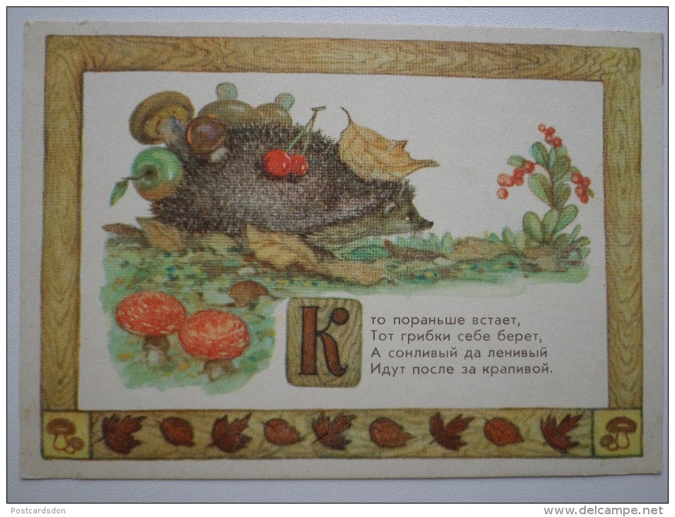 LITTLE Hedgehog - OLD Soviet PC 1956 -  Mushroom - Champignon - Rare Edition Amanita - Champignons