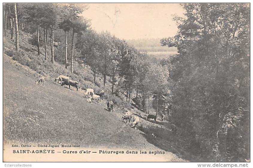 Saint Agrève     07     Pâturages Dans Les Sapins - Saint Agrève