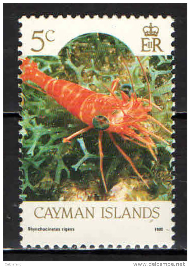 CAYMAN ISLANDS - 1990 - MARINE LIFE: RHYNCHOCINETES RIGENS - NUOVO MNH - Cayman (Isole)