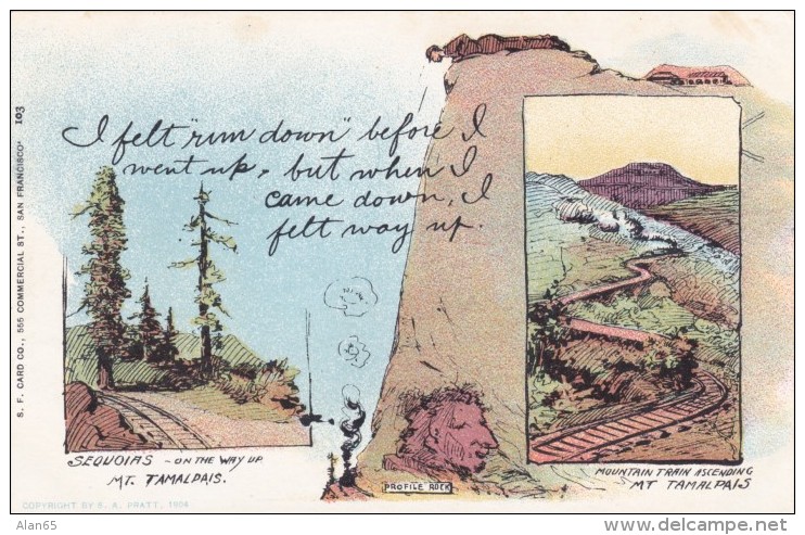Mt. Tamalpais California, Railroad Train Sequoia Redwood Trees, Artist Image On C1900s Vintage Postcard - Other & Unclassified