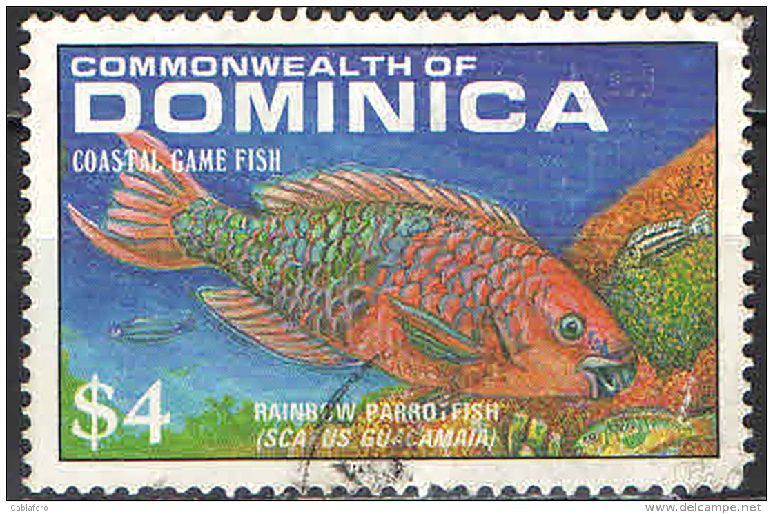 DOMINICA - 1988 - RAIMBOW PARROT FISH - USATO - Dominica (1978-...)
