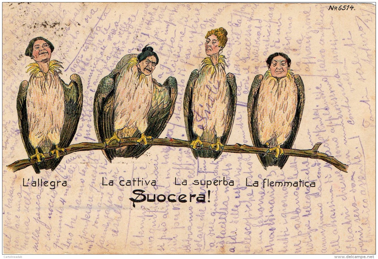 [DC9558] CPA - HUMOR - SUOCERA - L'ALLEGRA - LA CATTIVA - LA SUPERBA - LA FLEMMATICA - Viaggiata 1901 - Old Postcard - Humor