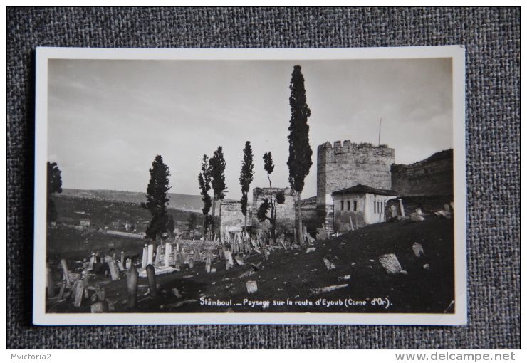 STAMBOUL - Paysage Sur La Route D'EYOUB - Turquie