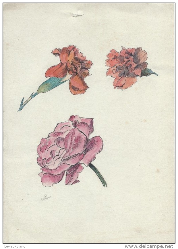 Dessin D´amateur/Plume Et Aquarelle/L RACLET/Non Encadré/Fleurs/Oeillets Et Rose/Vers 1930   GRAV146 - Other & Unclassified