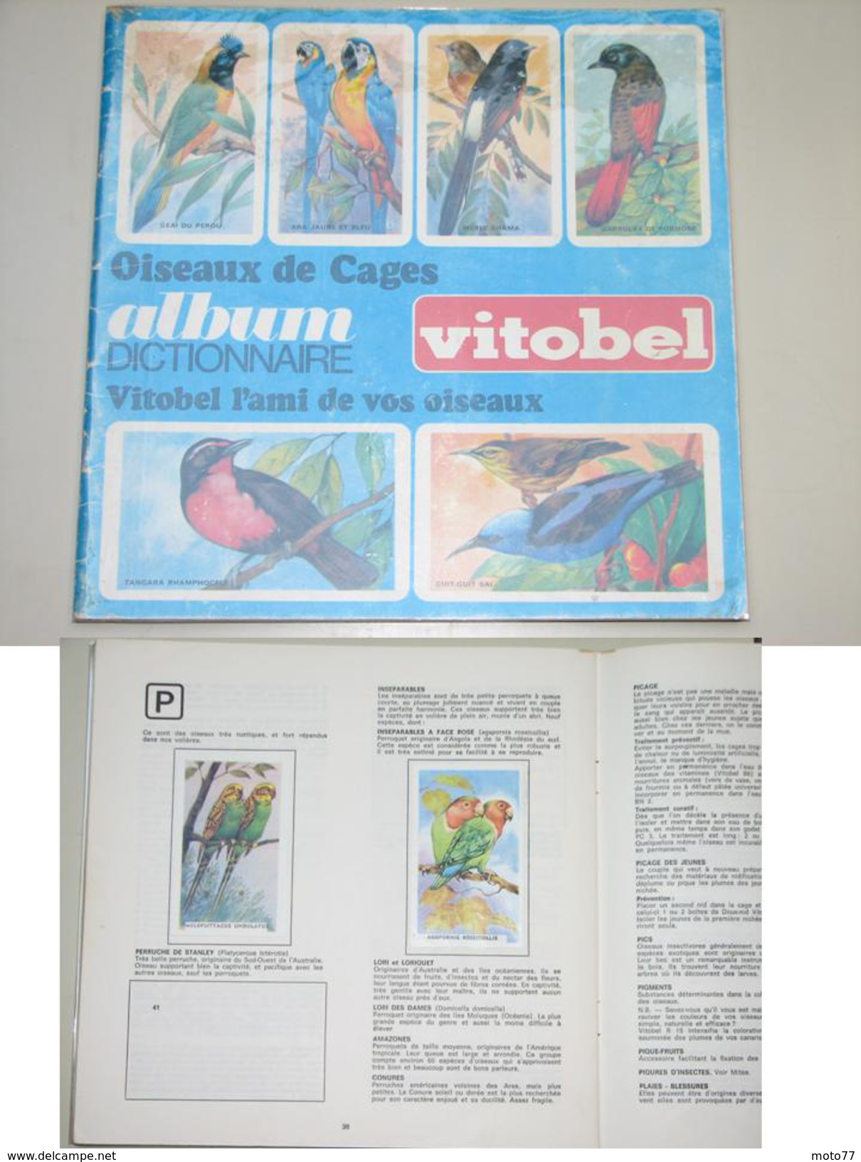 Album Collecteur Images Vignettes - Produits Pour Oiseaux VITOBEL - Oiseaux Cages - 1968 - Albums & Catalogues