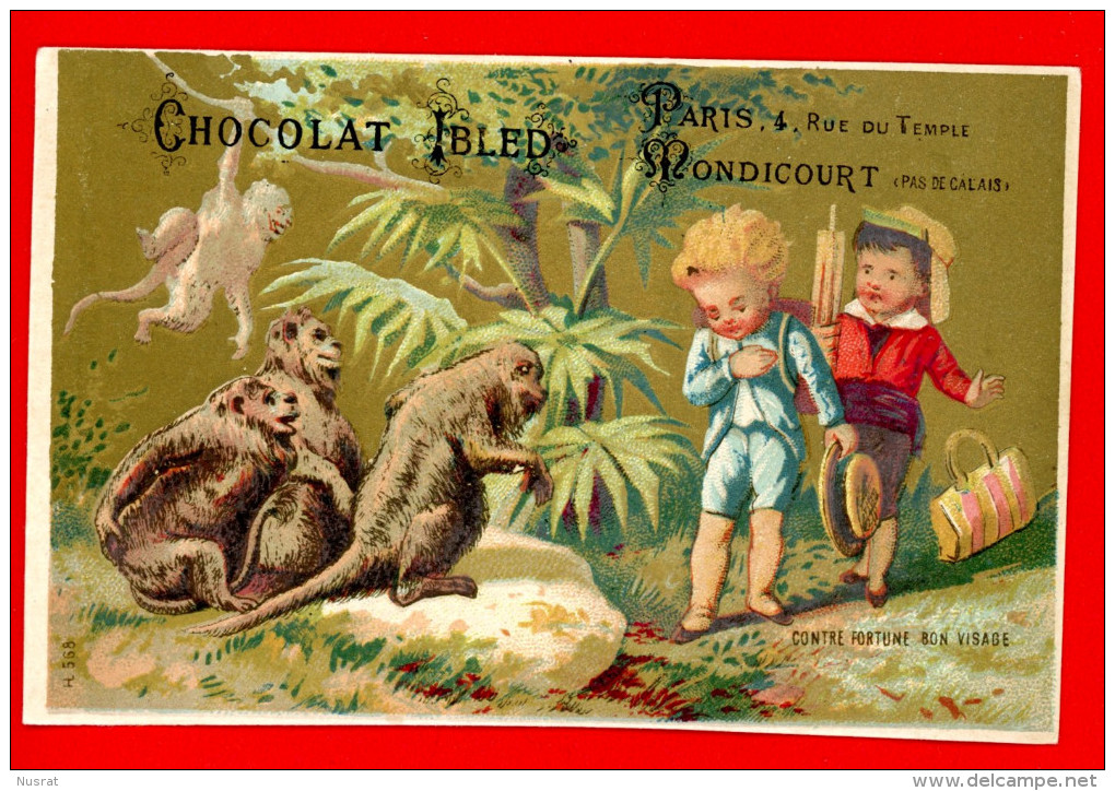 Chocolat Ibled, Chromo Enfants & Singes, Contre Fortune Bon Visage - Ibled