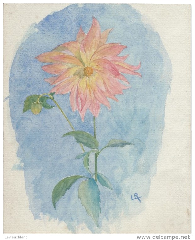 Dessin D´amateur/Aquarelle/L RACLET/Non Encadré/Fleur/ Dahlia Décoratif/ Vers 1950    GRAV161 - Wasserfarben