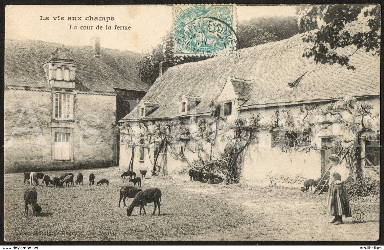 Postcard / CP / La Vie Aux Champs / La Cour De La Ferme / Héliotypie Dugas, Nantes / 1905 / 2 Scans - Autres & Non Classés