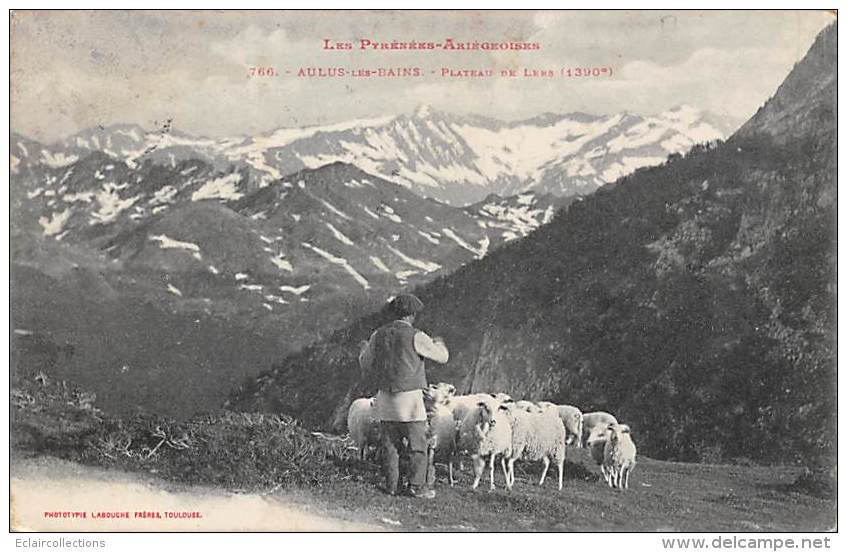 Aulus Les Bains       09         Plateau De Lers. Berger. Moutons - Andere & Zonder Classificatie
