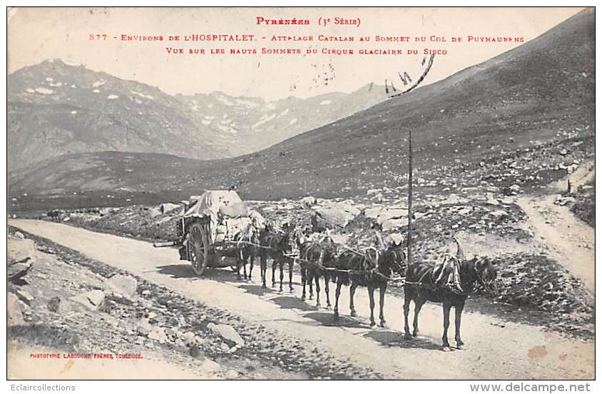 Col De Puymorens      09         Attelage Catalan - Andere & Zonder Classificatie