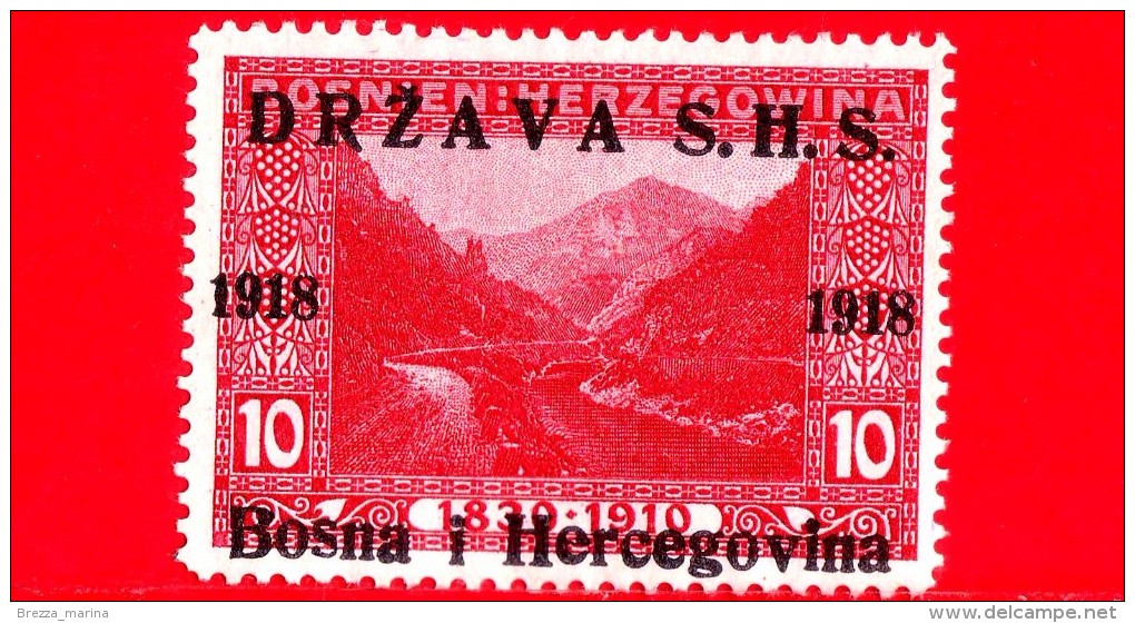 Nuovo - SERBIA - CROAZIA - SLOVENIA -  1918 - Emissione Per La Bosnia-Erzegovina - Paesaggi - Vrbas Walley - 10 - Nuovi