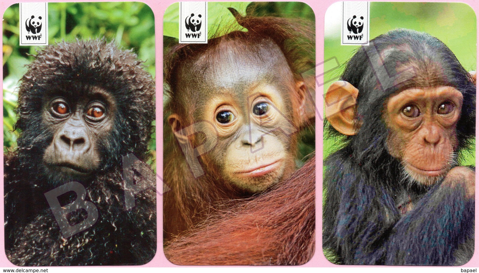 3 Images De Singes (WWF) (Recto-Verso) - Animaux