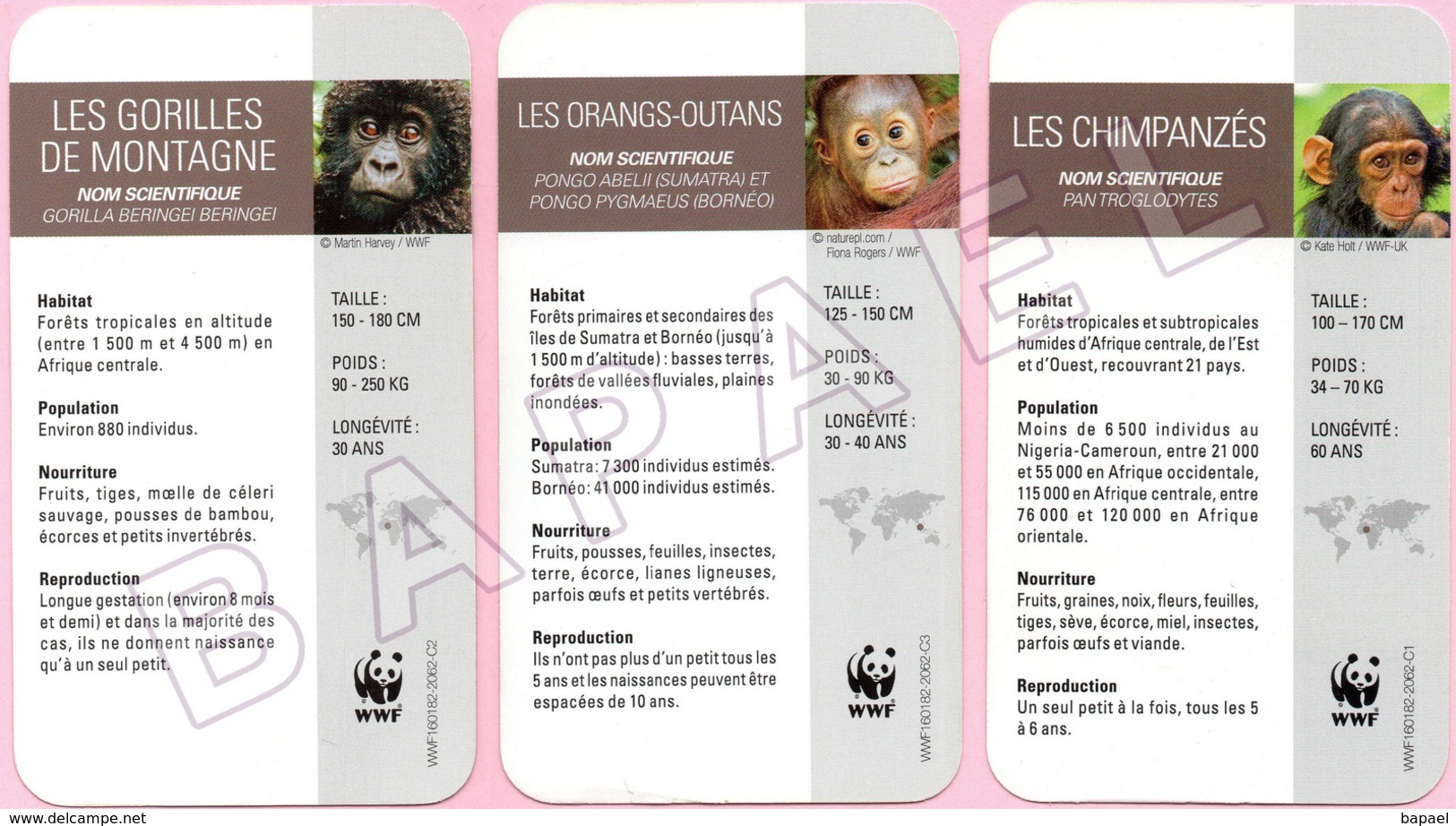 3 Images De Singes (WWF) (Recto-Verso) - Animaux