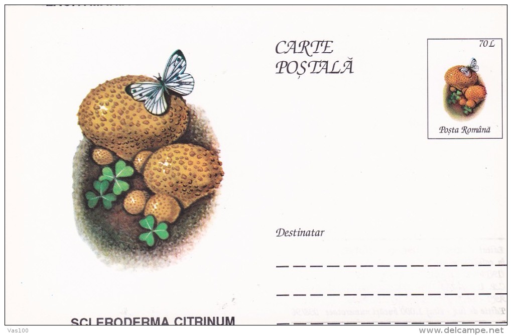 ERROR, DISPLACES IMAGE, POSTCARD STATIONERY, ENTIERE POSTAUX,BUTTERFLY,MUSHROOMS, 1996, ROMANIA - Errors, Freaks & Oddities (EFO)