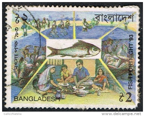 1993 - BANGLADESH - LAVORAZIONE PESCE / FISH PROCESSING. USATO, - Bangladesch