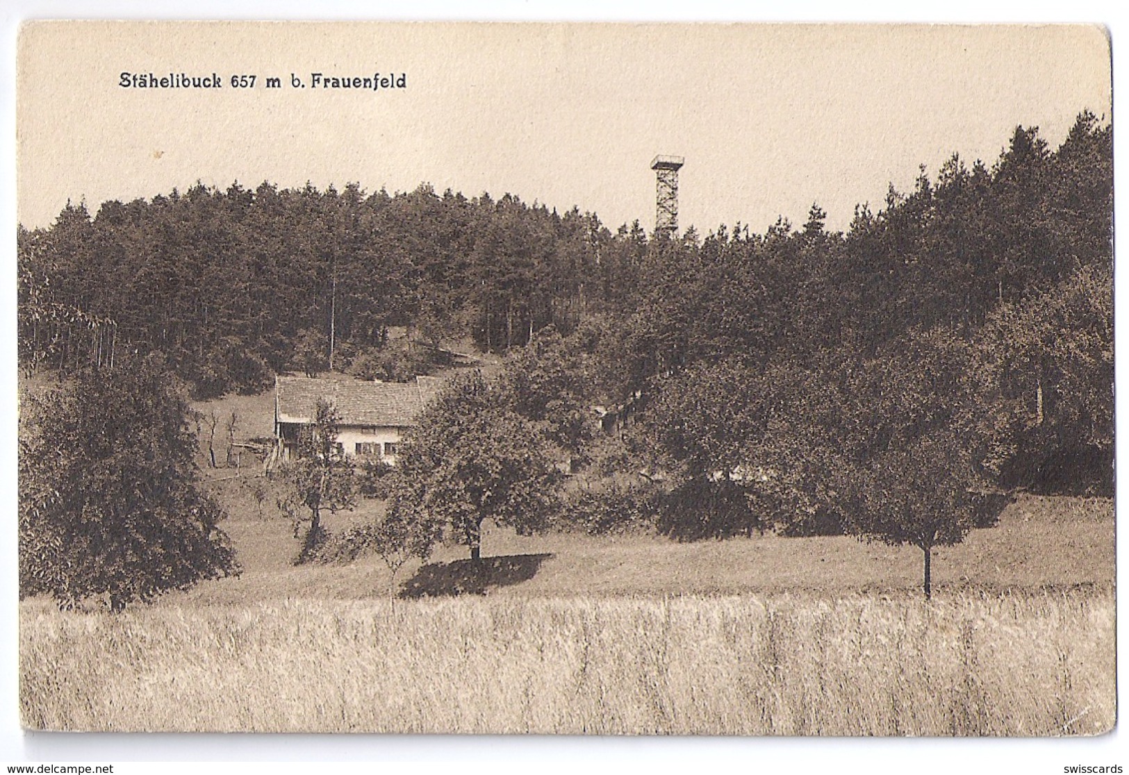 FRAUENFELD: Stähelibuck, Aussichtsturm ~1910 - Frauenfeld