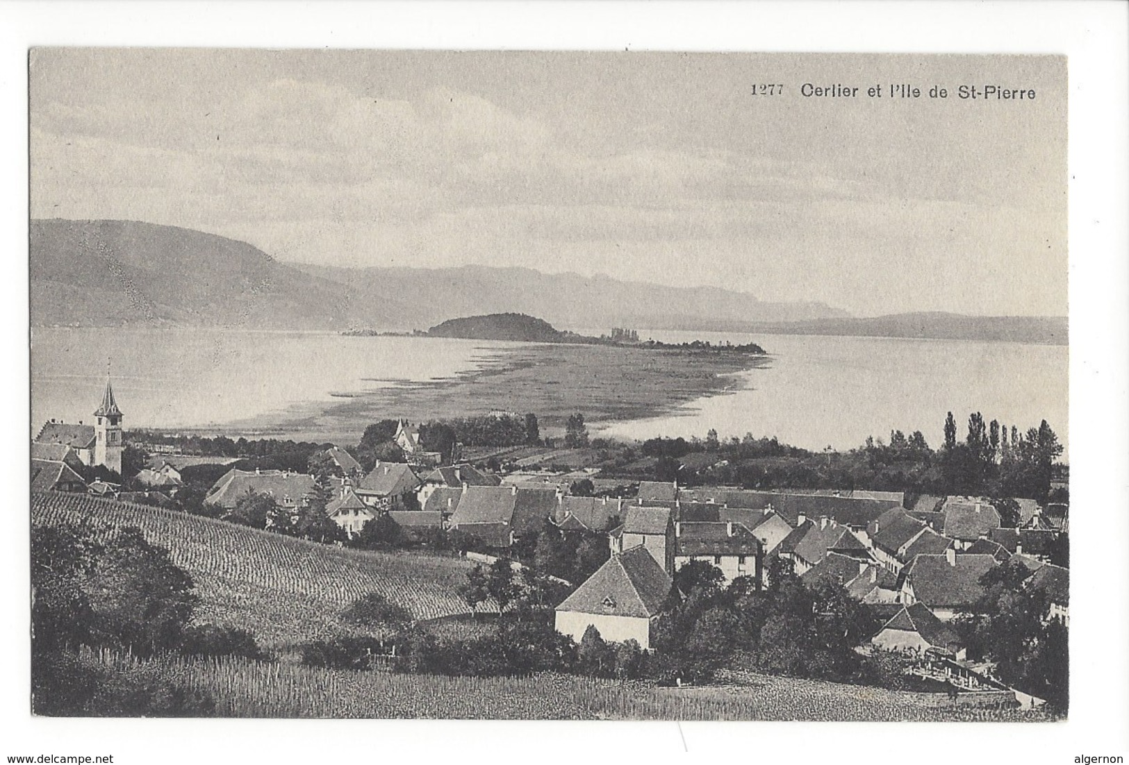 15346 - Cerlier Et L'Ile St-Pierre - Cerlier