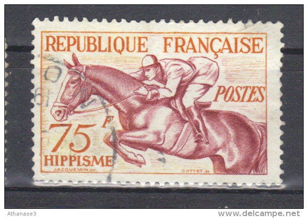 FRANCE  N° 965 (1953)          1 Ere Série Des Sports      Hippisme - Oblitérés