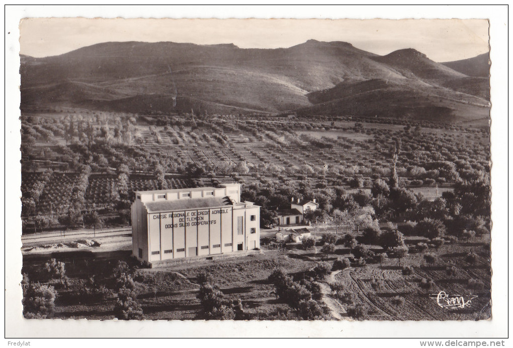 TURENNE  (ORAN)  EN ALGERIE  VUE AERIENNE  LES DOCKS SILOS ET LA GARE - Other & Unclassified