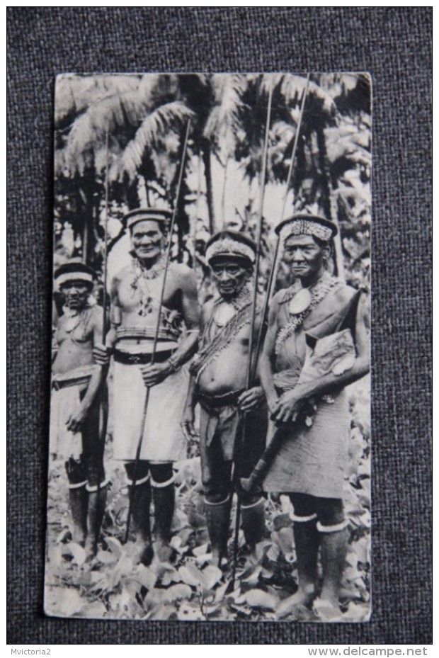 ILES SALOMON, Dans Le Sillage De BOUGAINVILLE, Carte Publicitaire IONYL , ( Bel Affranchissement ) - Salomon