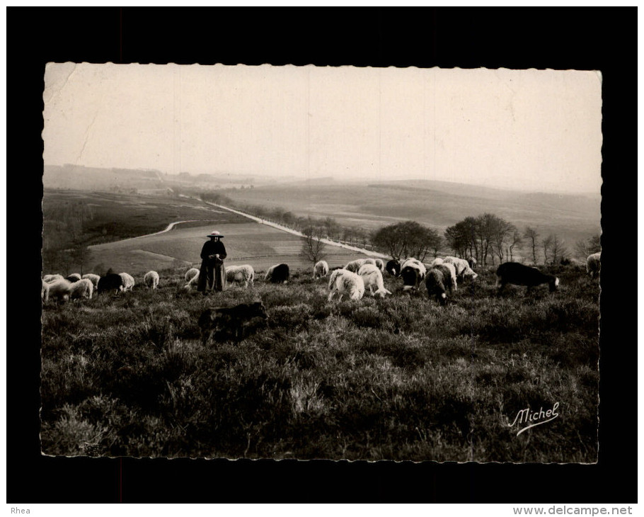 19 - LA CORREZE TOURISTIQUE - Moutons - Other & Unclassified